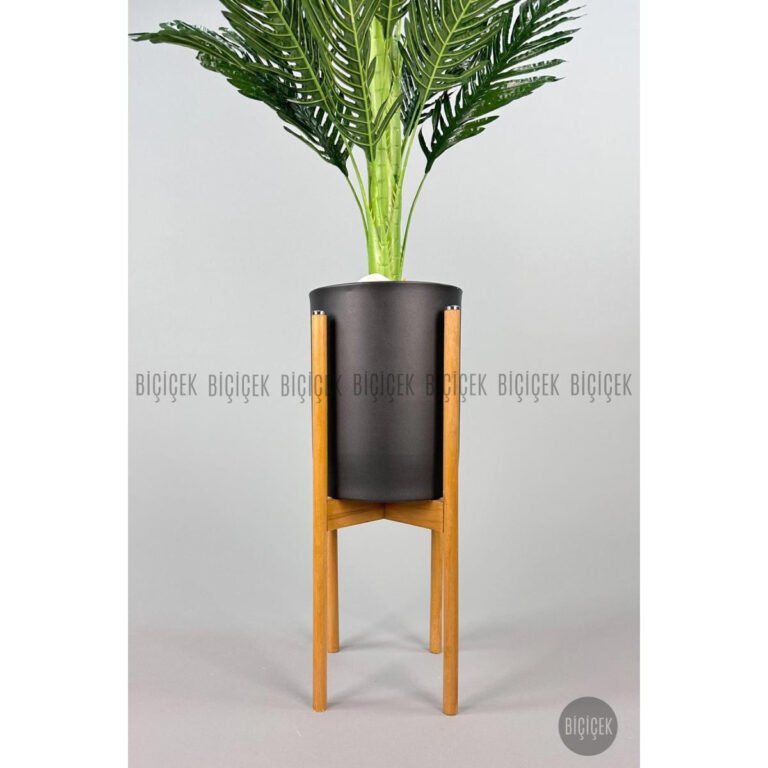 Biçiçek 150cm Areka Ağacı 2