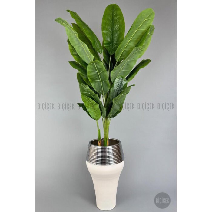 Biçiçek 220cm Starliçe Bitkisi 3