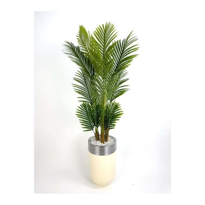 Biçiçek Areka Palmiyesi 160cm 2