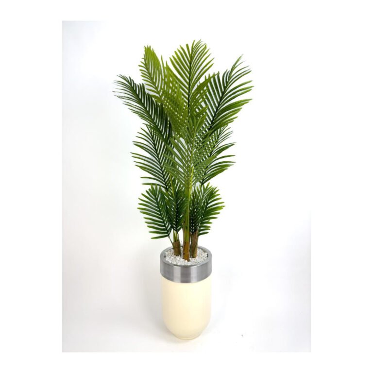 Biçiçek Areka Palmiyesi 160cm 2