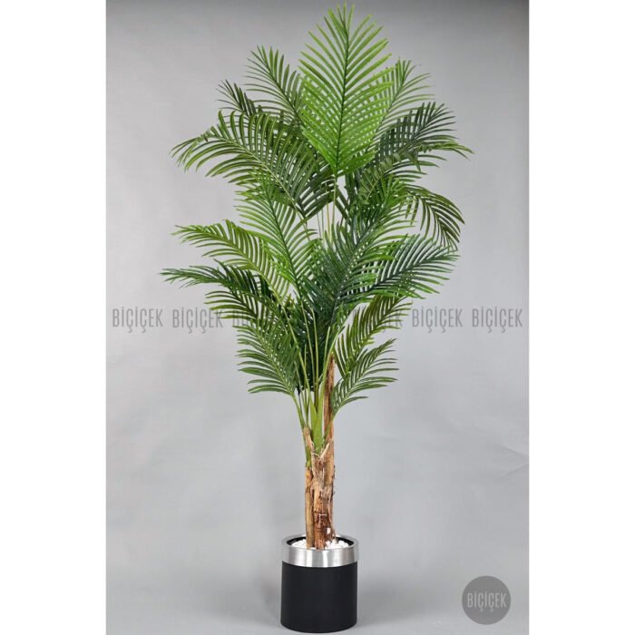 Biçiçek Areka Palmiyesi 220cm 2