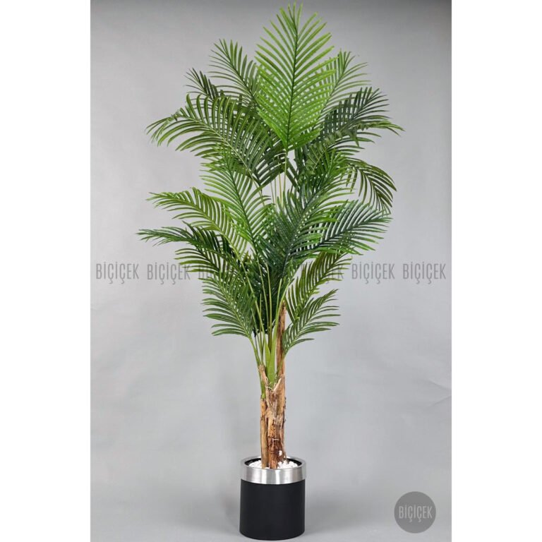 Biçiçek Areka Palmiyesi 220cm 2