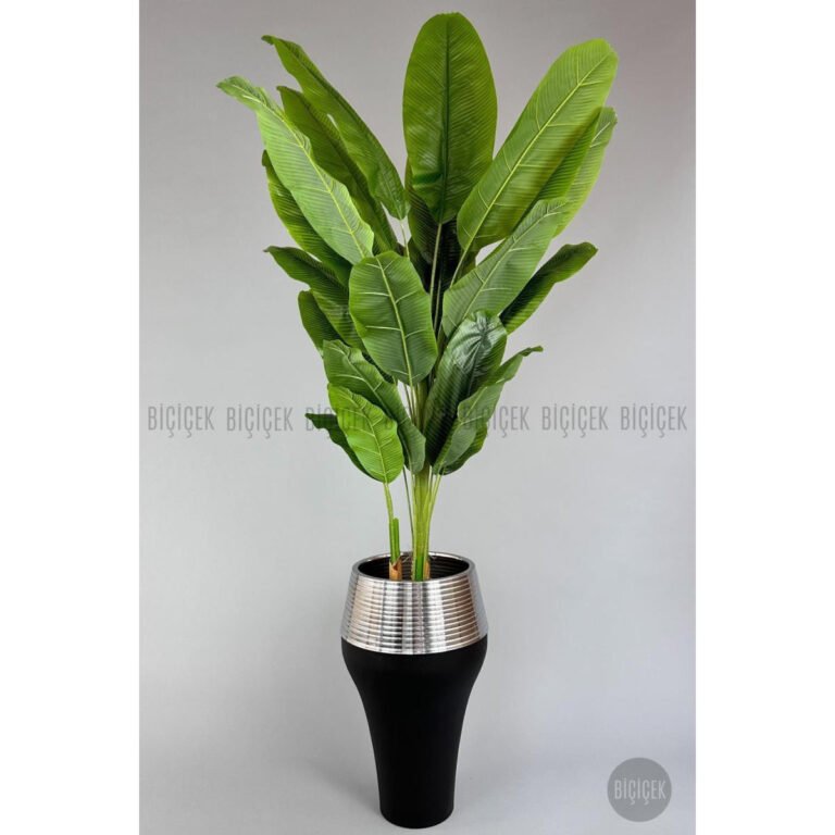 Biçiçek 220cm Starliçe Bitkisi 2