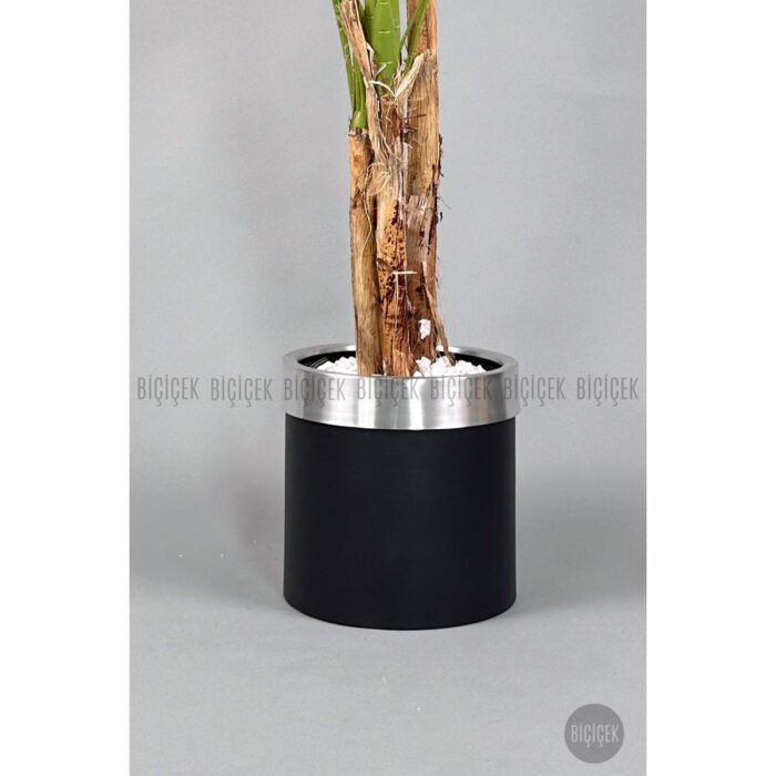 Biçiçek Areka Palmiyesi 220cm 3