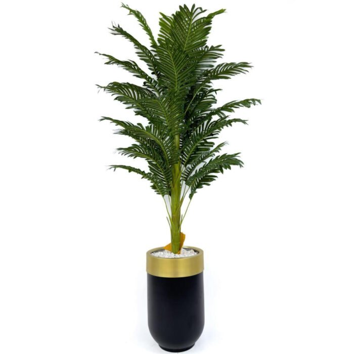 Biçiçek Areka Palmiyesi 170cm 2