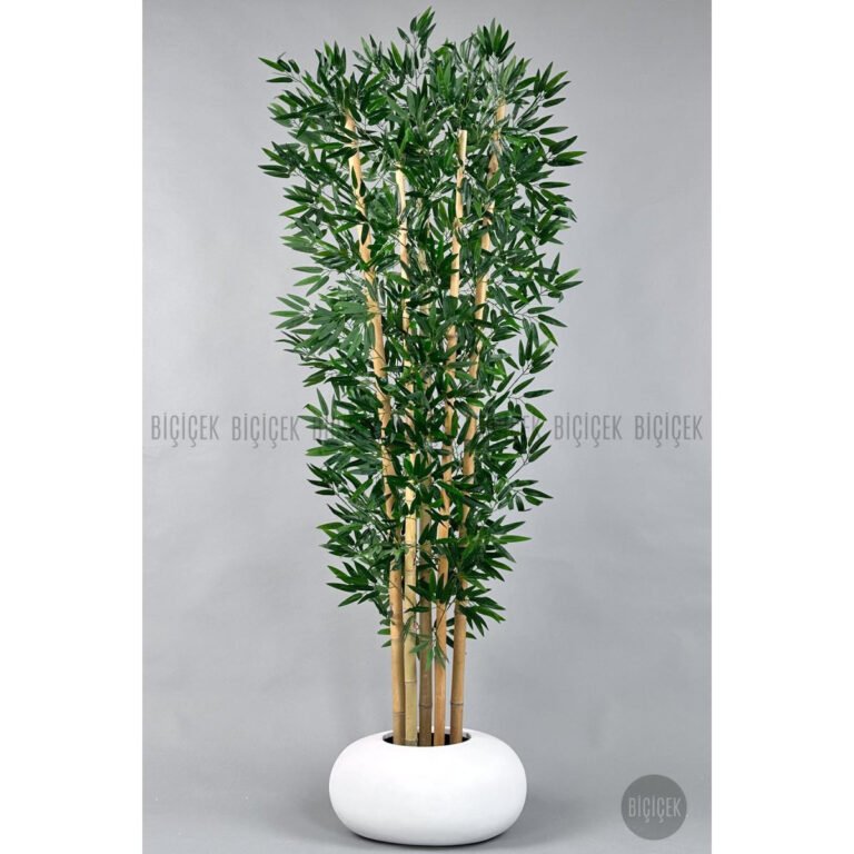 Biçiçek Zen Bambu Ağacı