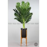 Biçiçek 150cm Areka Ağacı