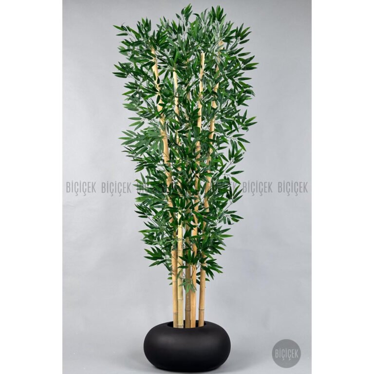 Biçiçek Zen Bambu Ağacı 2