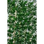 Biçiçek Bambu Separator 170 2