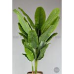 Biçiçek 220cm Starliçe Bitkisi 2