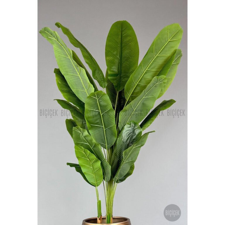 Biçiçek 220cm Starliçe Bitkisi 2