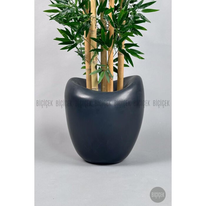 Biçiçek Zen Bambu Ağacı 2