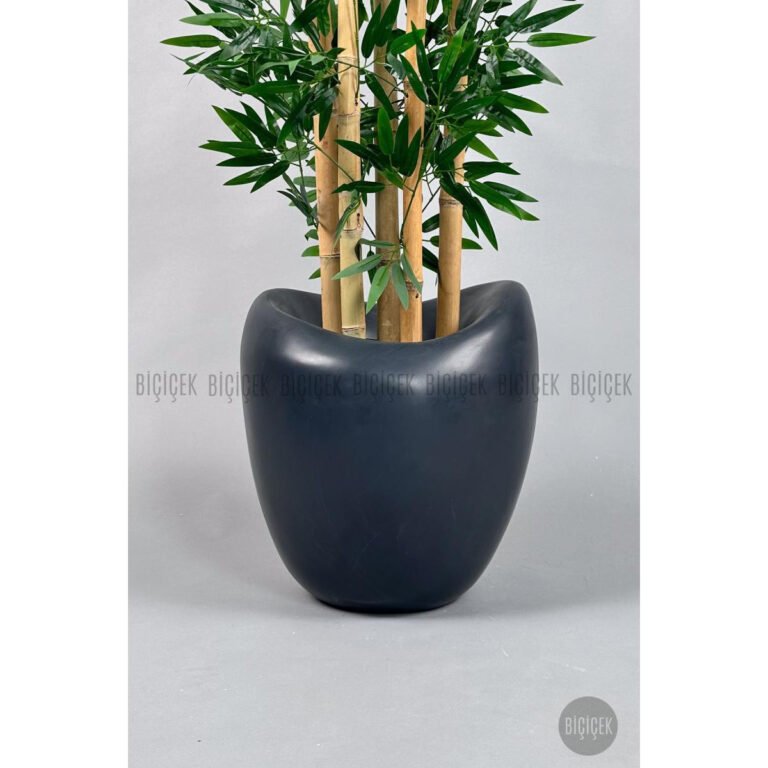 Biçiçek Zen Bambu Ağacı 2