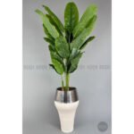 Biçiçek 220cm Starliçe Bitkisi 4