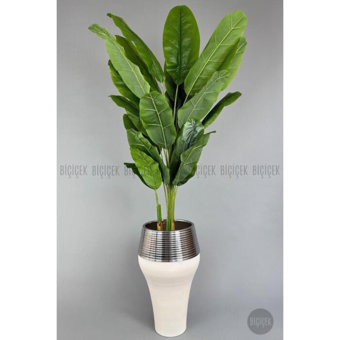 Biçiçek 220cm Starliçe Bitkisi 4