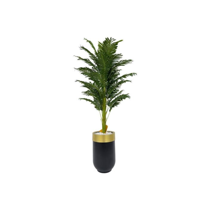 Biçiçek Areka Palmiyesi 170cm 4