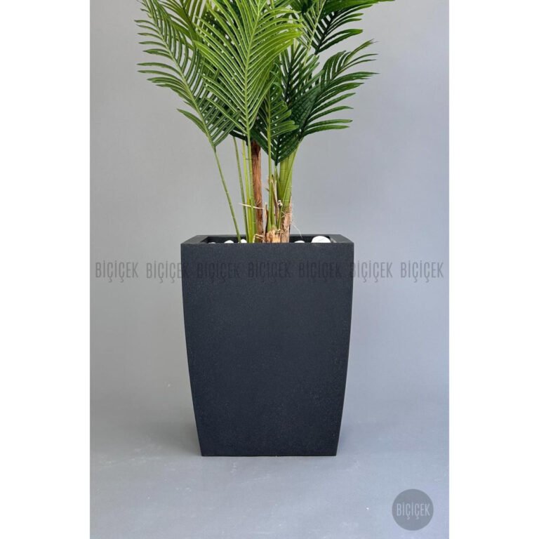 Biçiçek Areka Palmiyesi 220 2