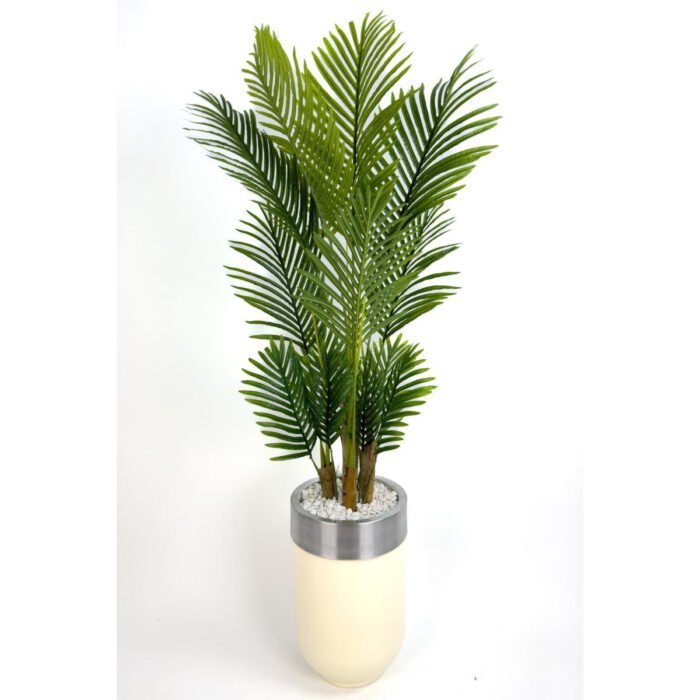 Biçiçek Areka Palmiyesi 160cm 3