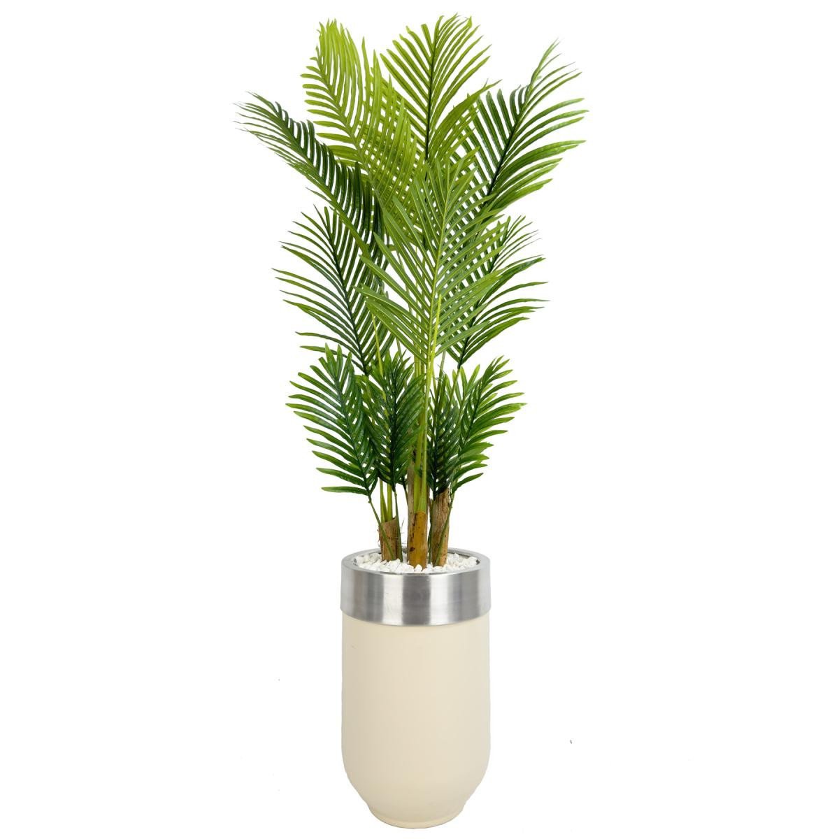 26c0193c5fa405b5bdfe-0 Biçiçek Areka Palmiyesi 160cm