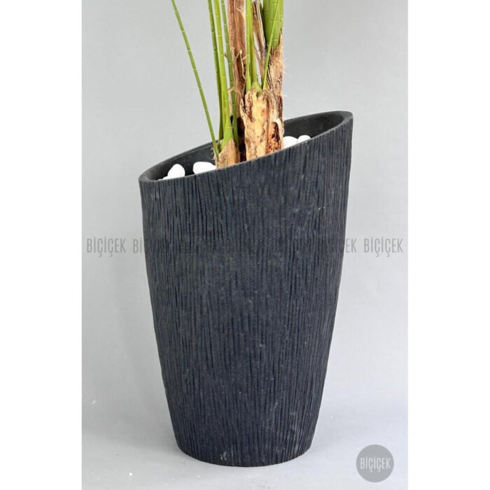 Biçiçek Areka Palmiyesi 250 3