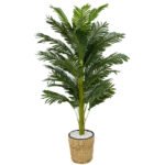 Biçiçek Areka Palmiyesi 140cm 2