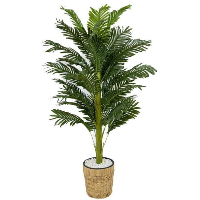 Biçiçek Areka Palmiyesi 140cm 2