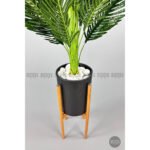 Biçiçek 150cm Areka Ağacı 3