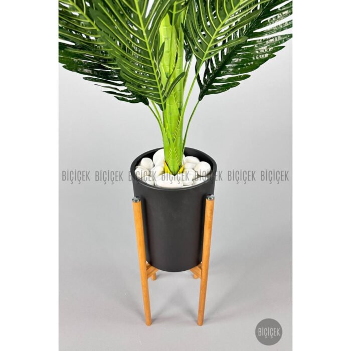 Biçiçek 150cm Areka Ağacı 3