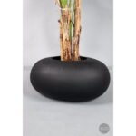 Biçiçek Areka Ağacı 220-240 3