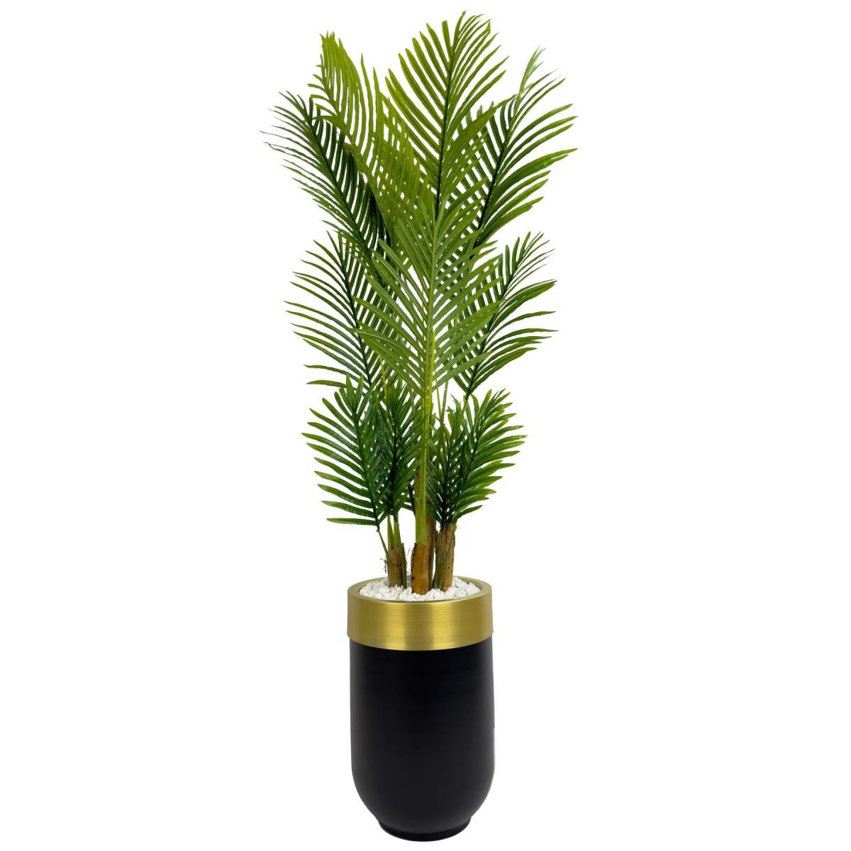 3ad85f8100a80978f06f-0 Biçiçek Areka Palmiyesi 160cm
