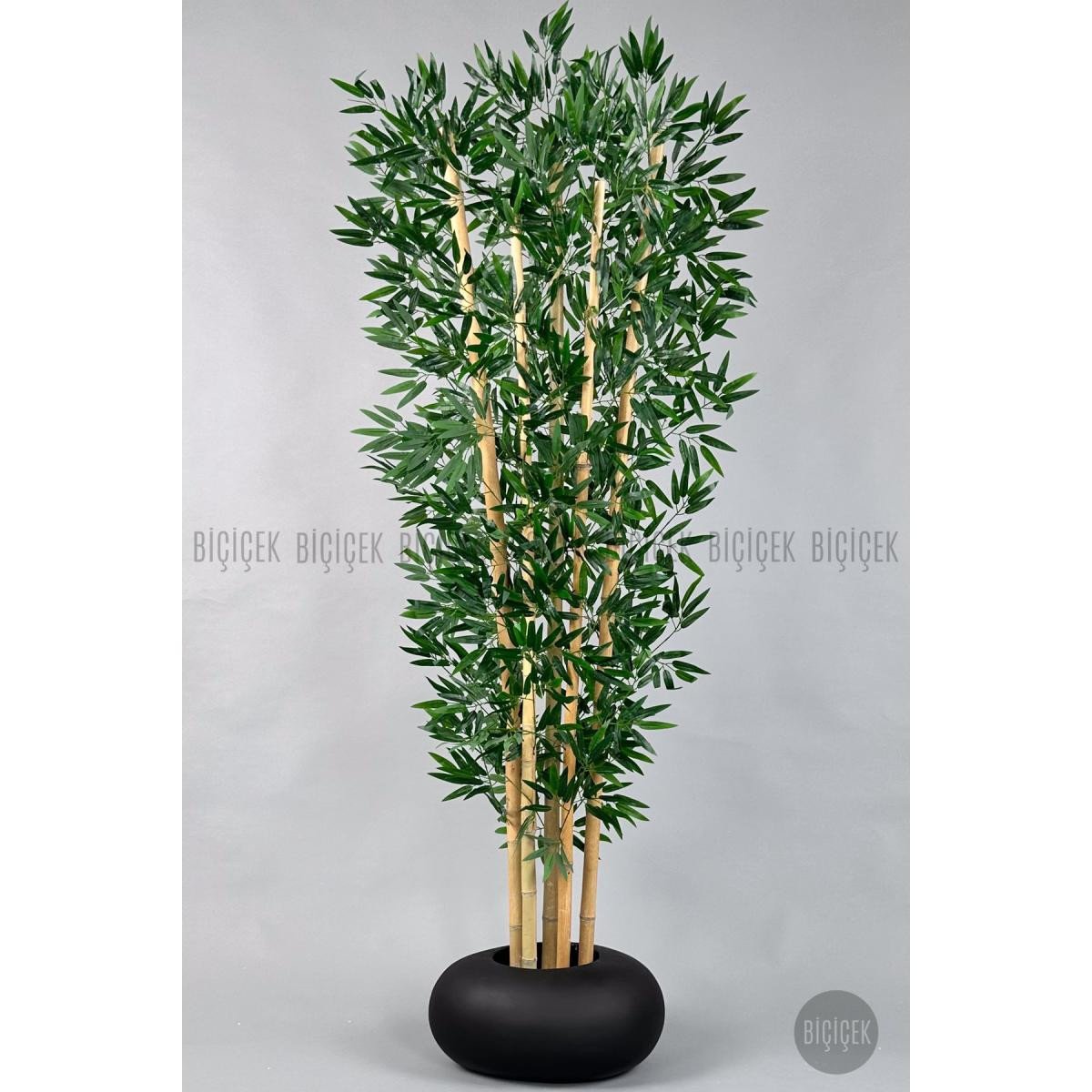 3c78994831adf9cf04c5-0 Biçiçek Zen Bambu Ağacı