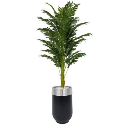 Biçiçek Areka Palmiyesi 170cm
