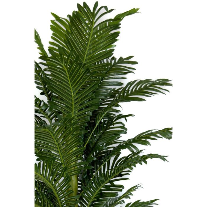 Biçiçek Areka Palmiyesi 170cm 5
