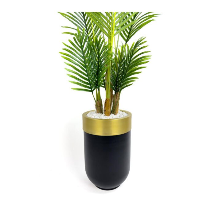Biçiçek Areka Palmiyesi 160cm 3