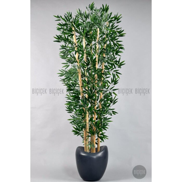 Biçiçek Zen Bambu Ağacı 4
