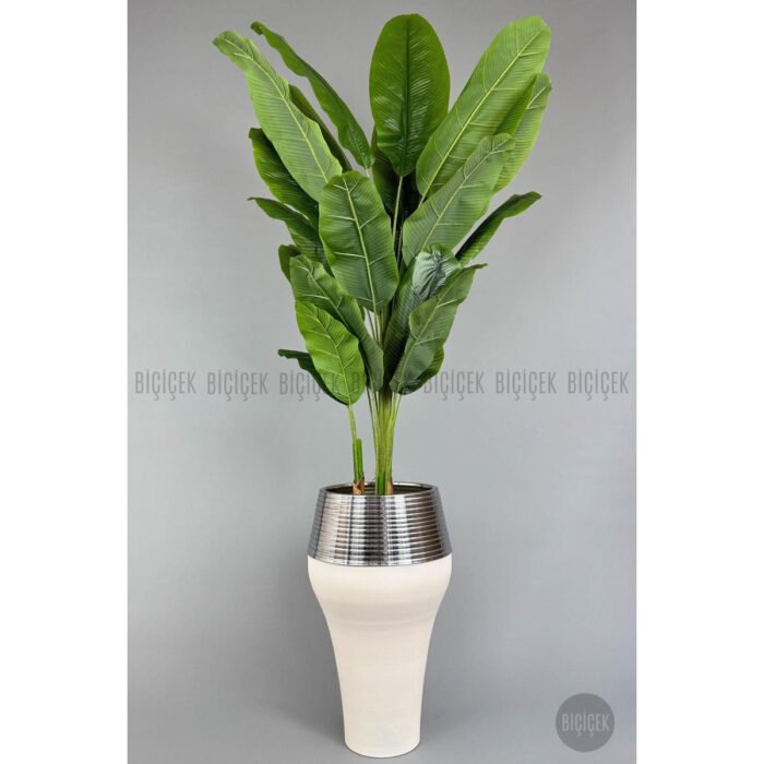 Biçiçek 220cm Starliçe Bitkisi 5