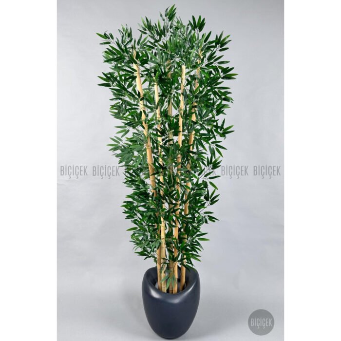 Biçiçek Zen Bambu Ağacı 5
