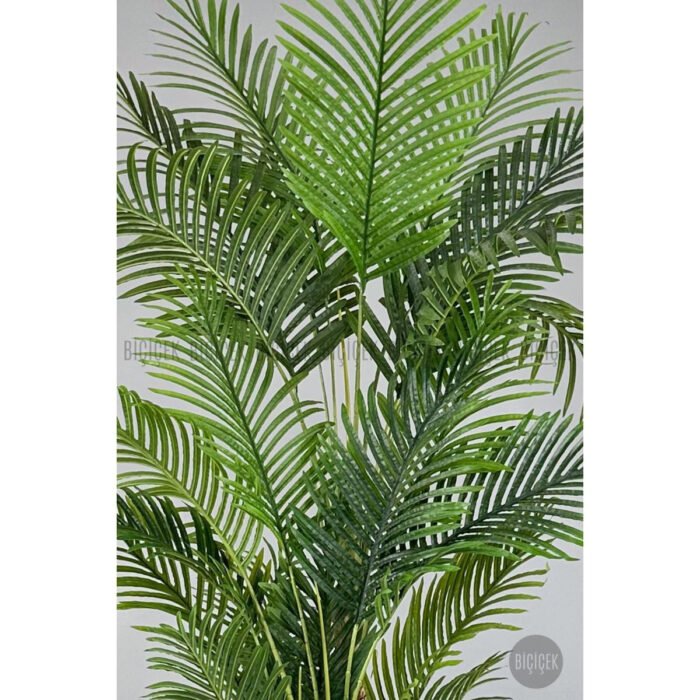 Biçiçek Areka Palmiyesi 220cm 3