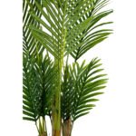 Biçiçek Areka Palmiyesi 160cm 4