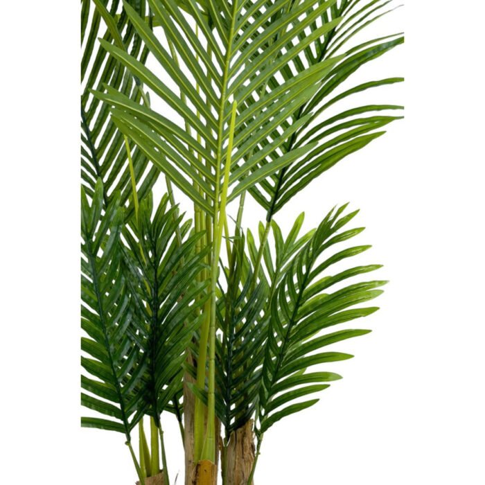 Biçiçek Areka Palmiyesi 160cm 4