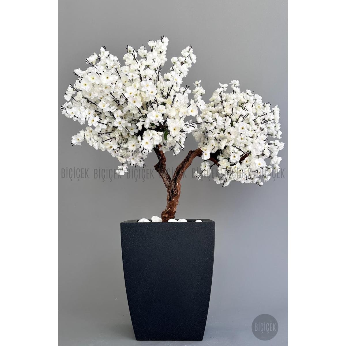 4b534346b012bc6265c1-0 Biçiçek Bonzai Gövdeli Beyaz