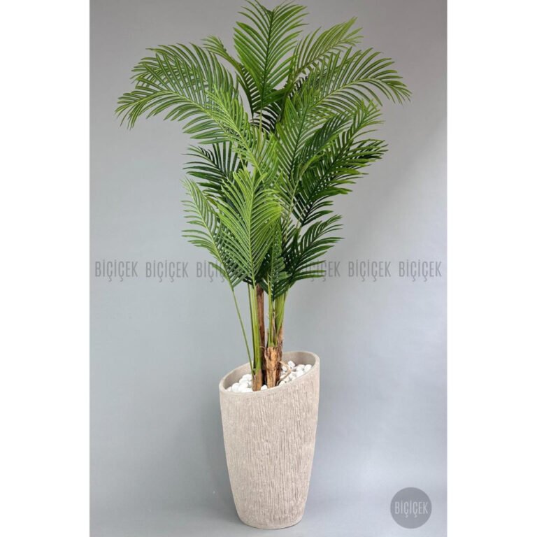 Biçiçek Areka Palmiyesi 250 2