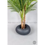 Biçiçek Areka Ağacı 220-240 2