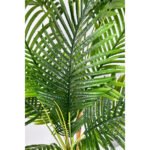 Biçiçek Areka Ağacı 220-240 4