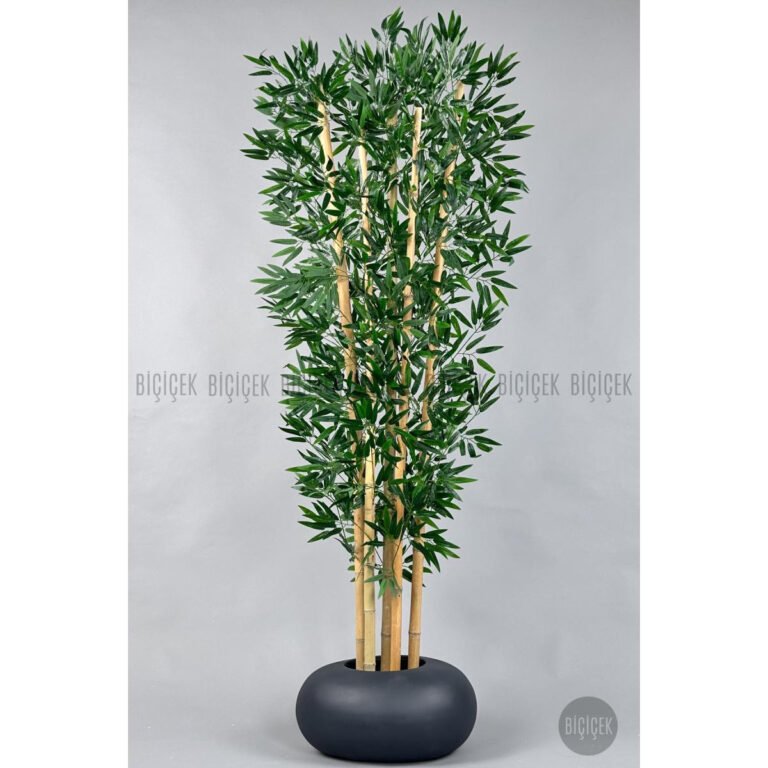 Biçiçek Zen Bambu Ağacı