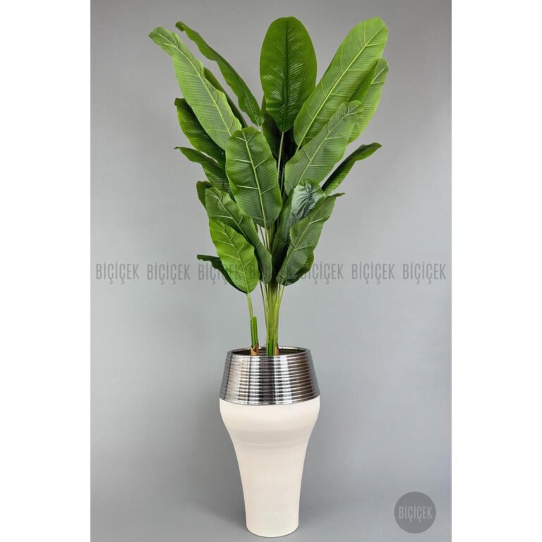 Biçiçek 220cm Starliçe Bitkisi