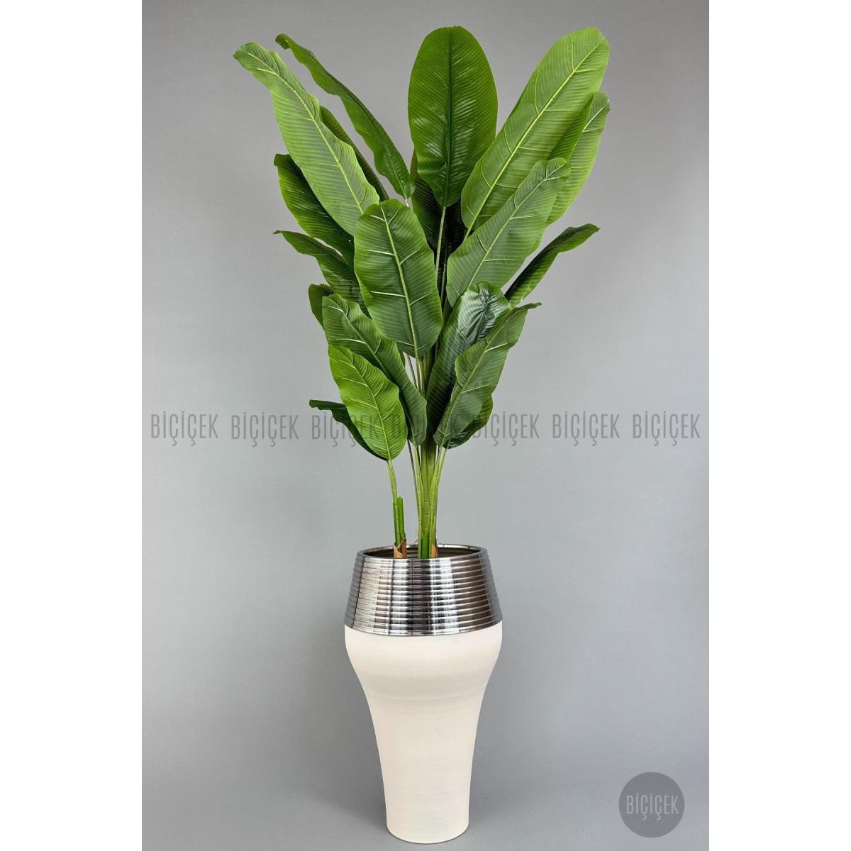 5a3eaf4b3d3cc019c5ff-0 Biçiçek 220cm Starliçe Bitkisi