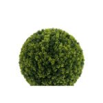 Biçiçek Şimşir Ağacı 90cm 2
