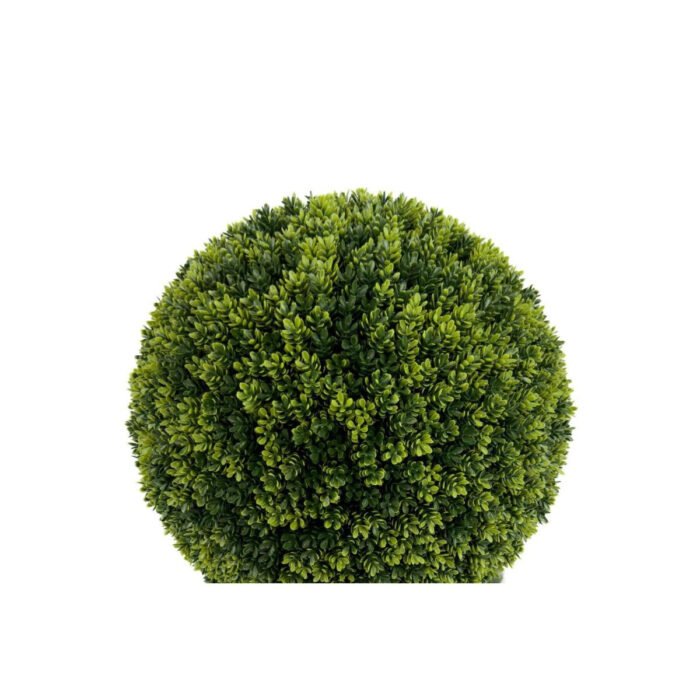 Biçiçek Şimşir Ağacı 90cm 2