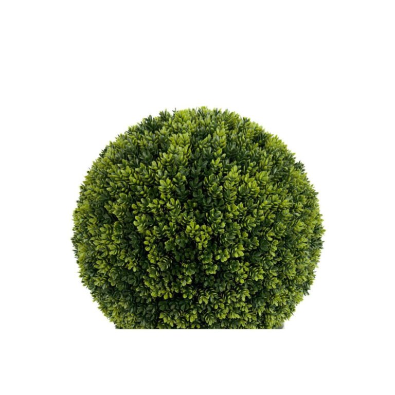 Biçiçek Şimşir Ağacı 90cm 2